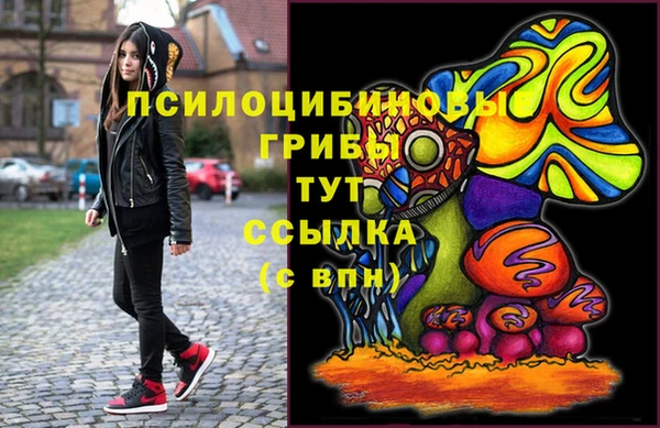 дурь Аркадак
