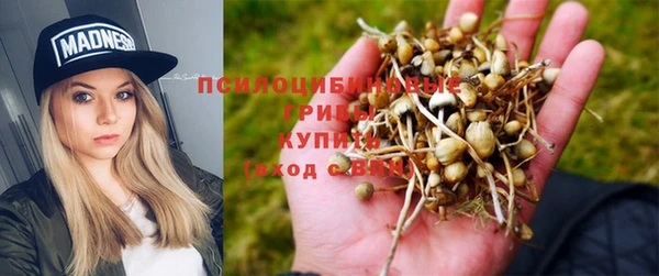 дживик Армянск