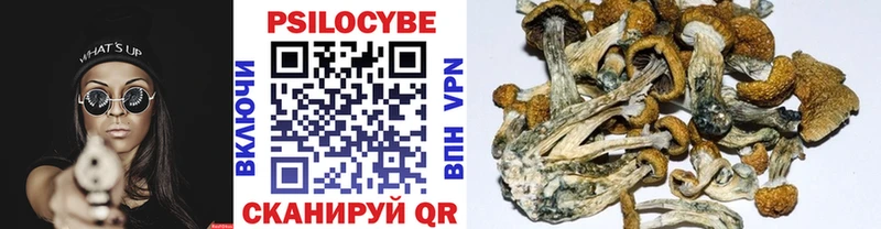 хочу наркоту  Владивосток  Галлюциногенные грибы Psilocybe 